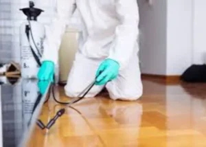 شركة رش مبيد بالحناكية